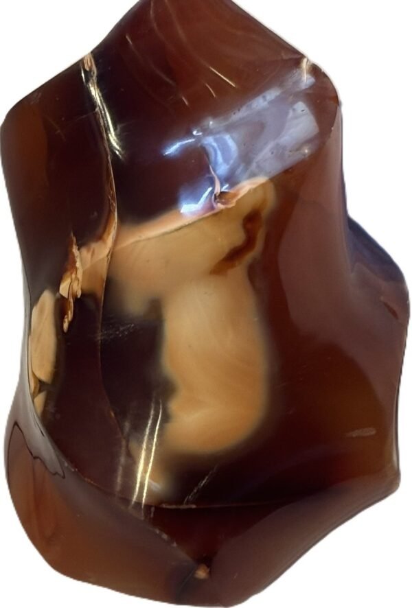 Carnelian flame 3 3 sians emporium Hand carved polished carnelian flame sculpture featuring twisting ridges with deep mahogany red burnt orange tones and smoky chalcedony patches isolated on a white background